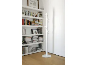 Albero