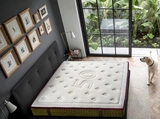 Materasso Celebrity 5000 molle di Castiflex