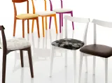 Sedia moderna fissa in legno Bettina seduta imbottita di Eurosedia