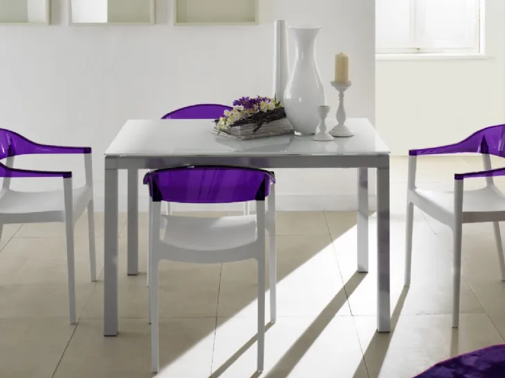 Sedia in plastica bicolore Milly di Eurosedia