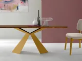 Sedia in legno imbottita Tecla Oro di Eurosedia