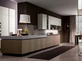 Cucina Moderna Aura 01 in rovere e laccato di Mobilegno